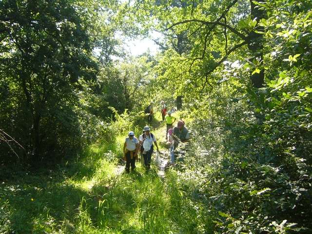 t�r�z�s az erdei iskol�ban