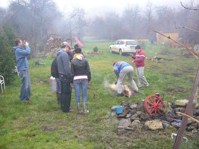 Falusi Diszn�v�g�s