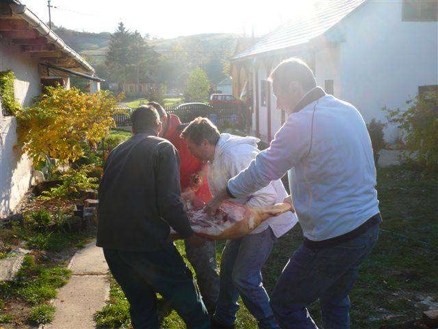 Falusi Diszn�v�g�s