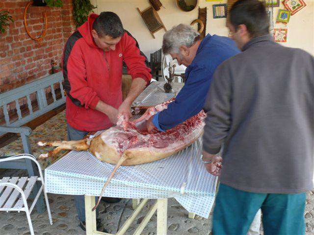 Falusi Diszn�v�g�s