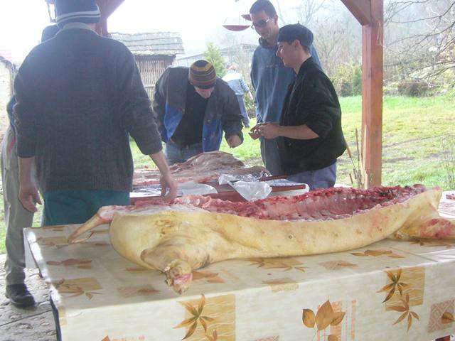 Falusi Diszn�v�g�s