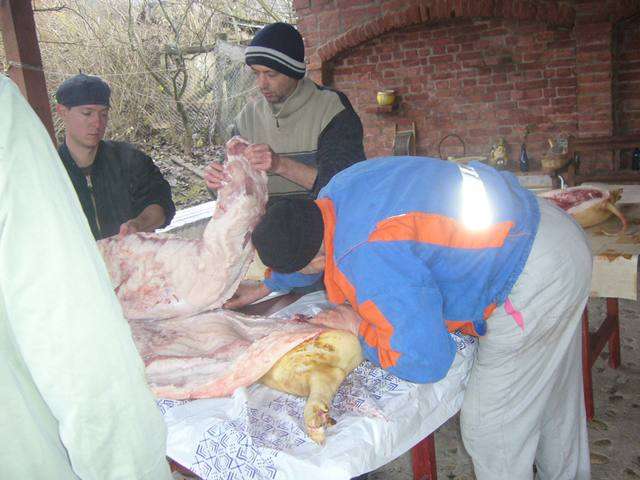 Falusi Diszn�v�g�s