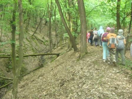 gyalogt�ra az erd�ben